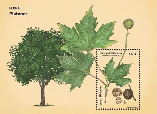 World Championship of Soccer 1962 - Brazil Champion