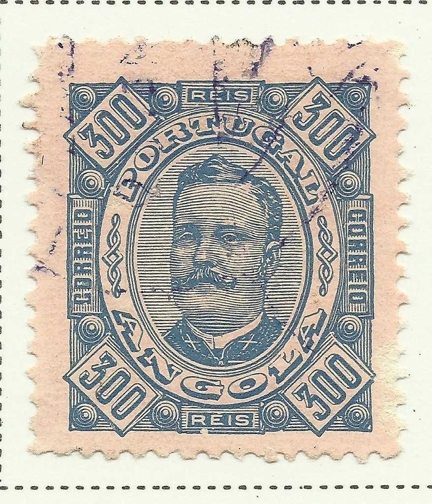 Yellow Foot (Cantharellus lutescens)