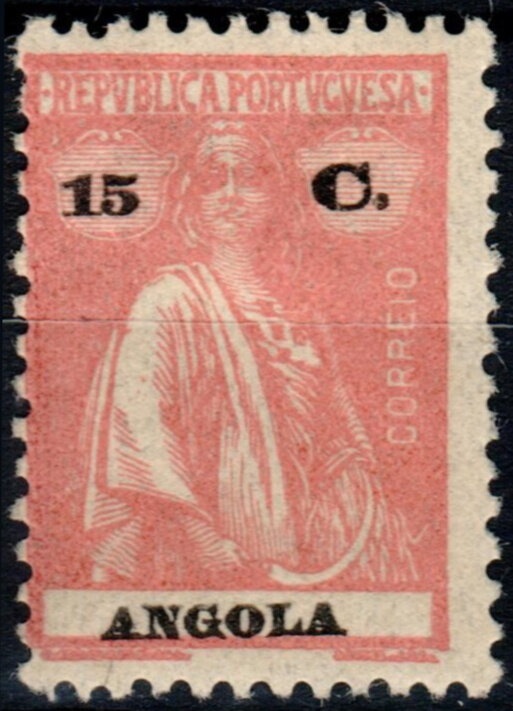 West African Helmet (Cassis tessellata)