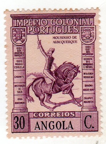 Fan-tailed Widowbird (Urobrachya bocagei)