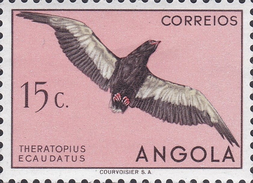 Cathedral in Sá da Bandeira