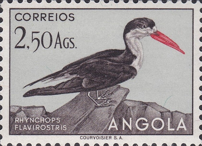 Andorran Science Society