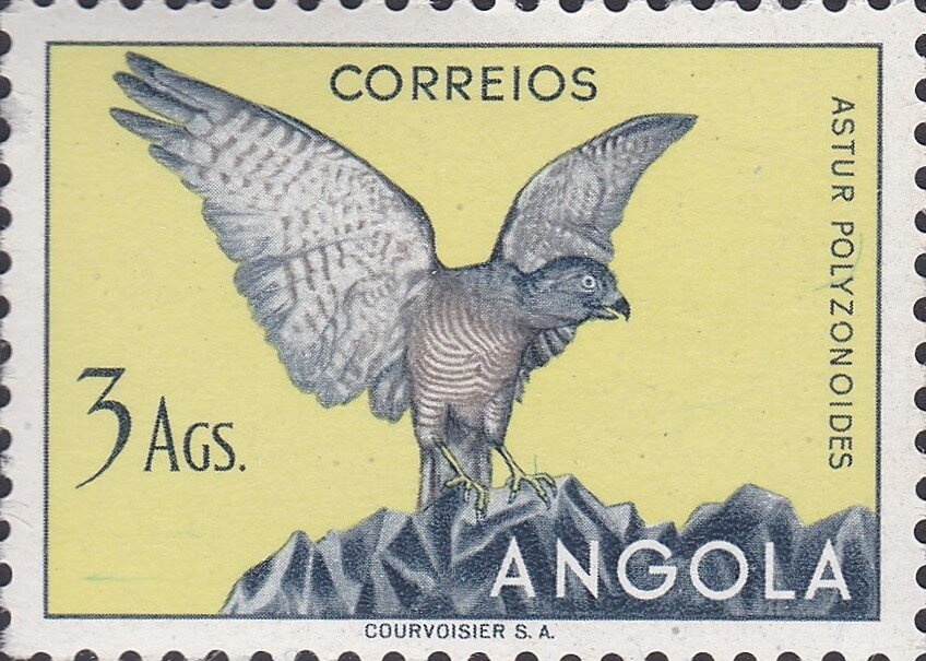 Bishop Ramón Iglesias