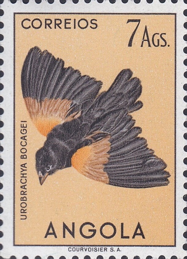 Sadc, Southern African Development Community