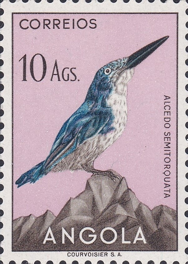 Pope Benedict VII 974-983