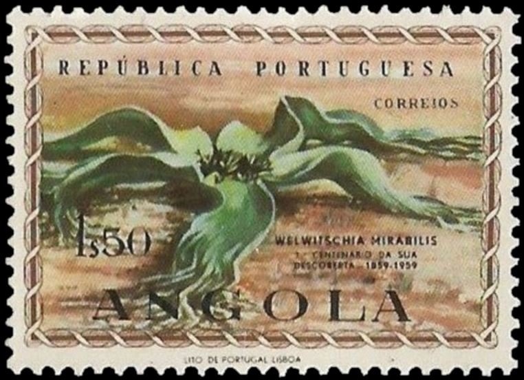 Visit of His Holiness Pope John Paul II to Angola