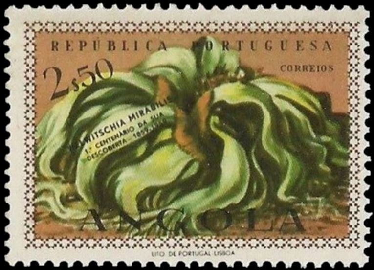 II Jogos da Afrika Central