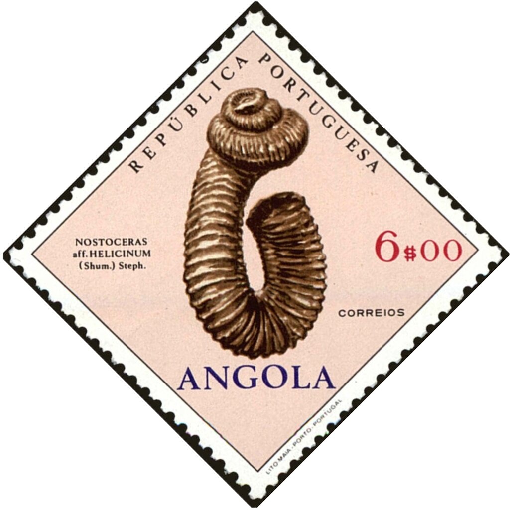 Ceylon Spurfowl (Galloperdix bicalcarata)