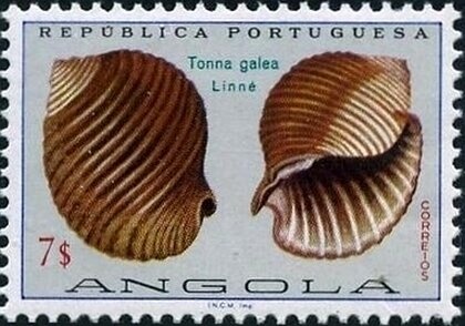 Fortress San Pedro da Barra