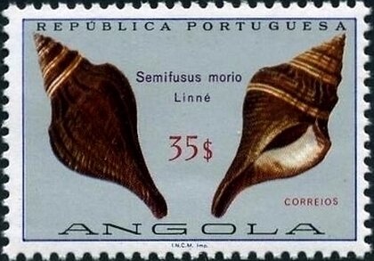 Art Workshop of Áurea Bellera