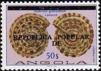 Cheetah (Acinonix jubatus)