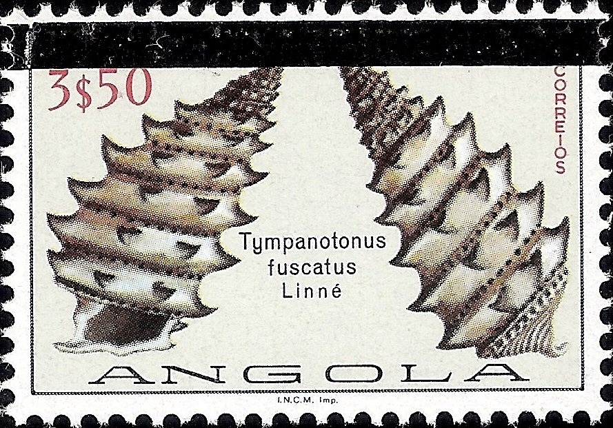 Independence of Cape Verde 50 Years