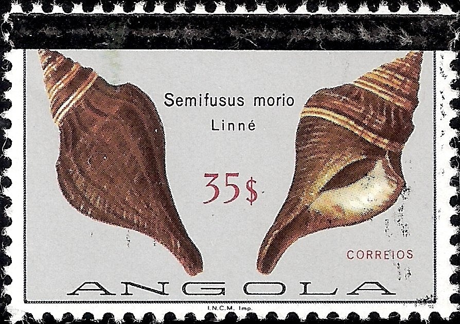 Trial World Championship