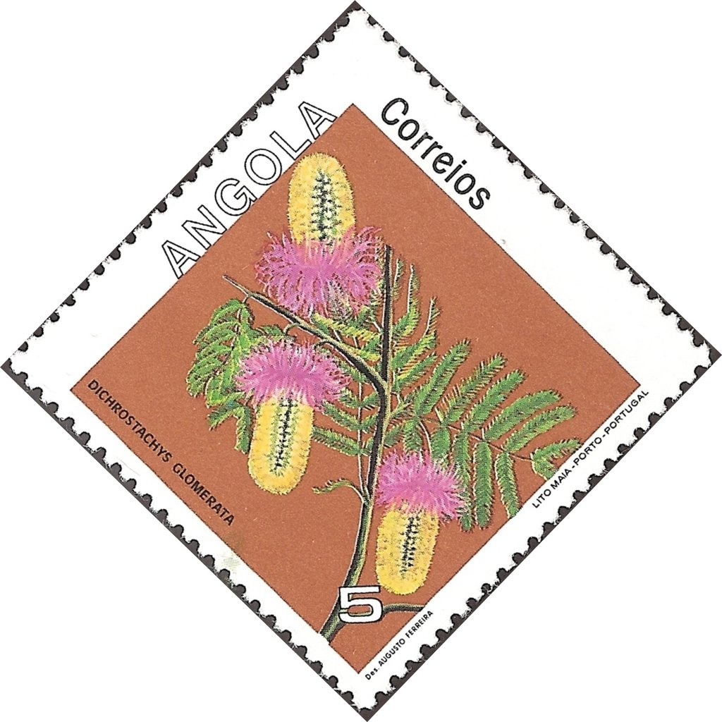 Festival of the Summer Solstice