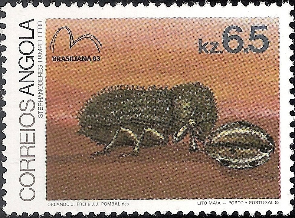 Cardinal Woodpecker (Dendropicos fuscescens)