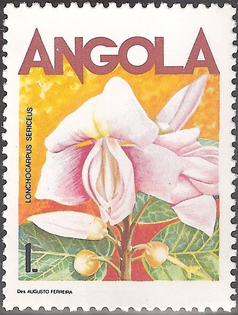 Welwitschia mirabilis