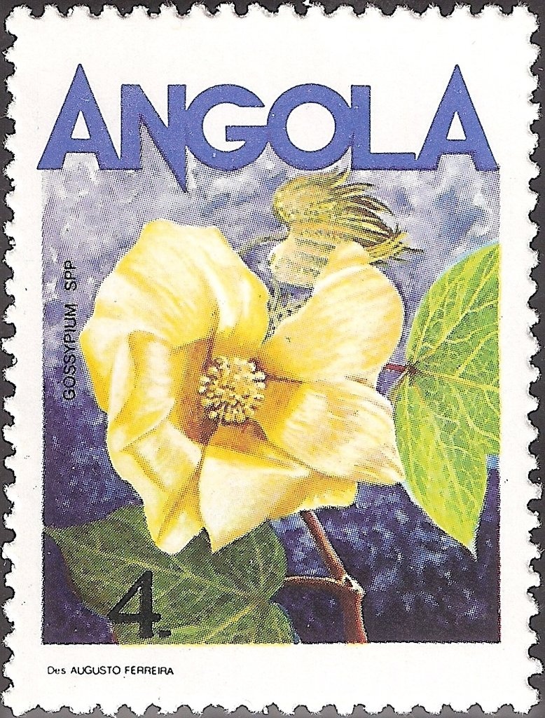 West African Mud Creeper (Tympanotonus fuscatus)