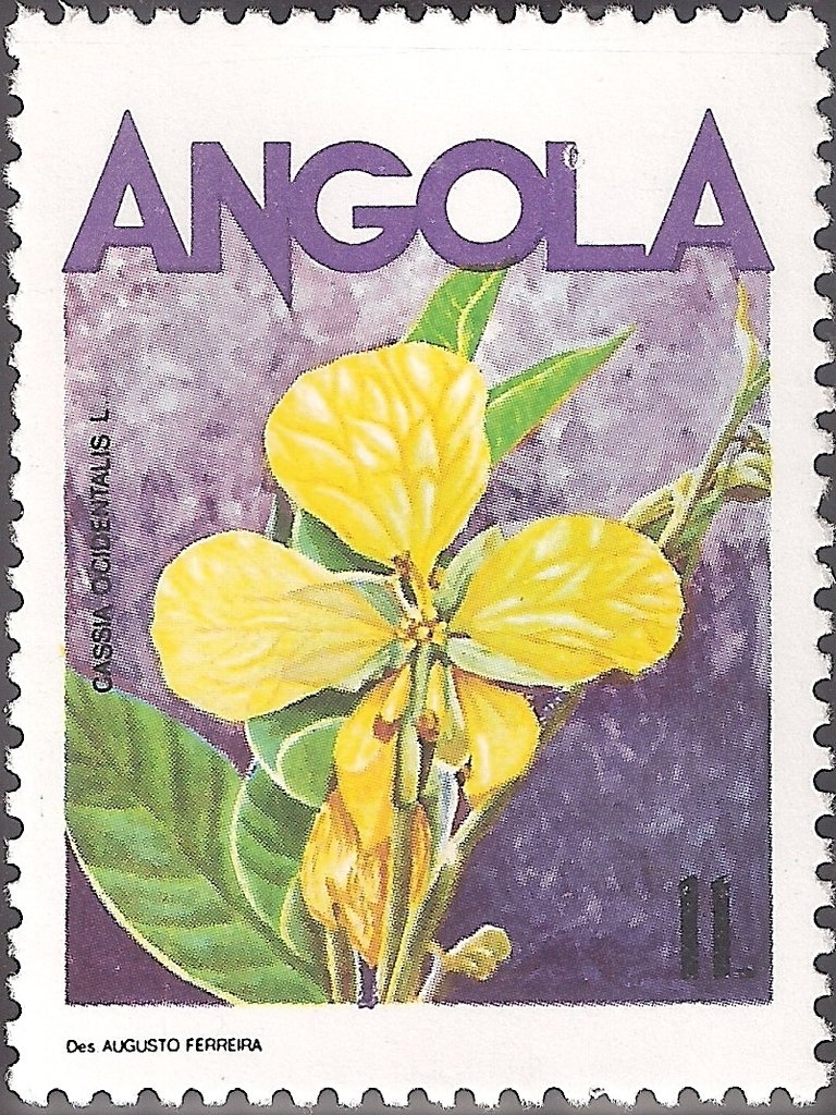 1st Anniversary of the GURN