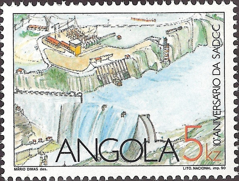 Lesser Flamingo (Phoenicopterus minor)