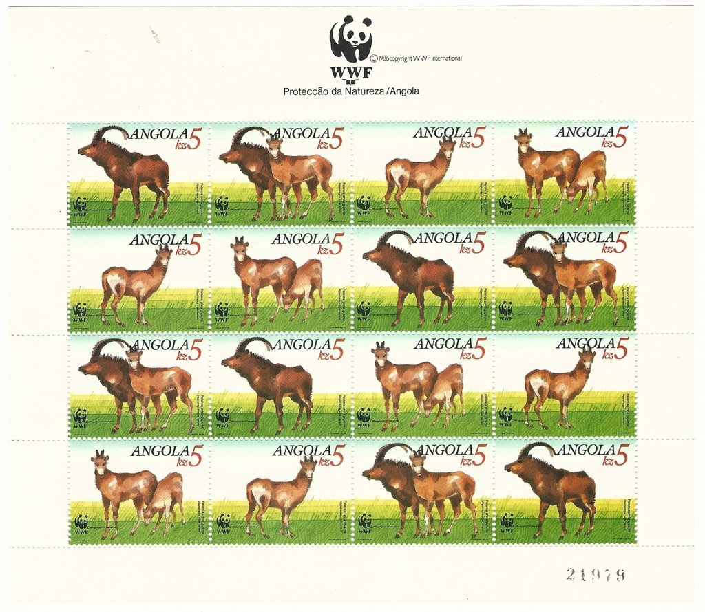 White-throated Dipper (Cinclus cinclus)