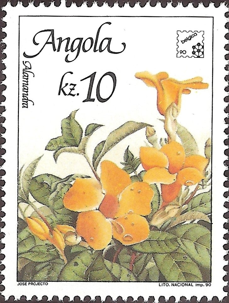 Rugby XV, Bicentenary