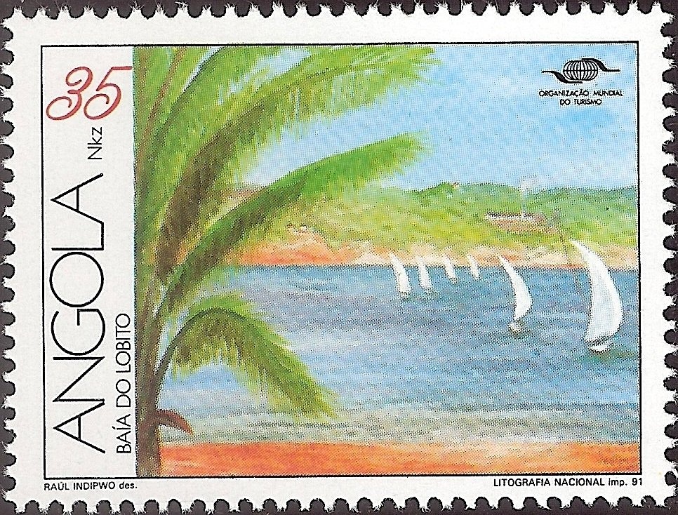 Brown-necked Parrot (Poicephalus robustus)