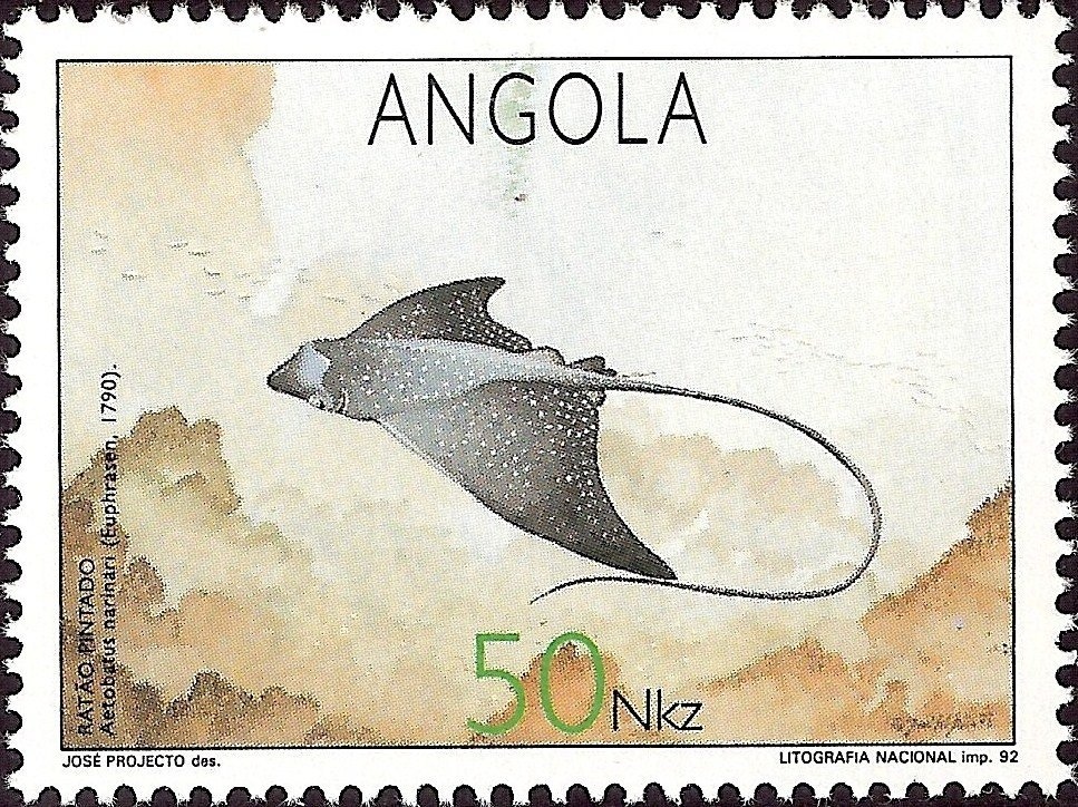 Mill water. 16th century (La Cortinada Andorra)