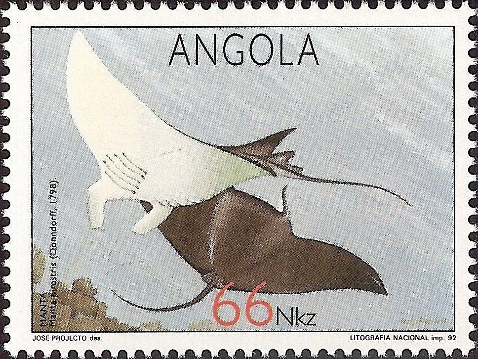 Manatee (Trichechus senegalensis)