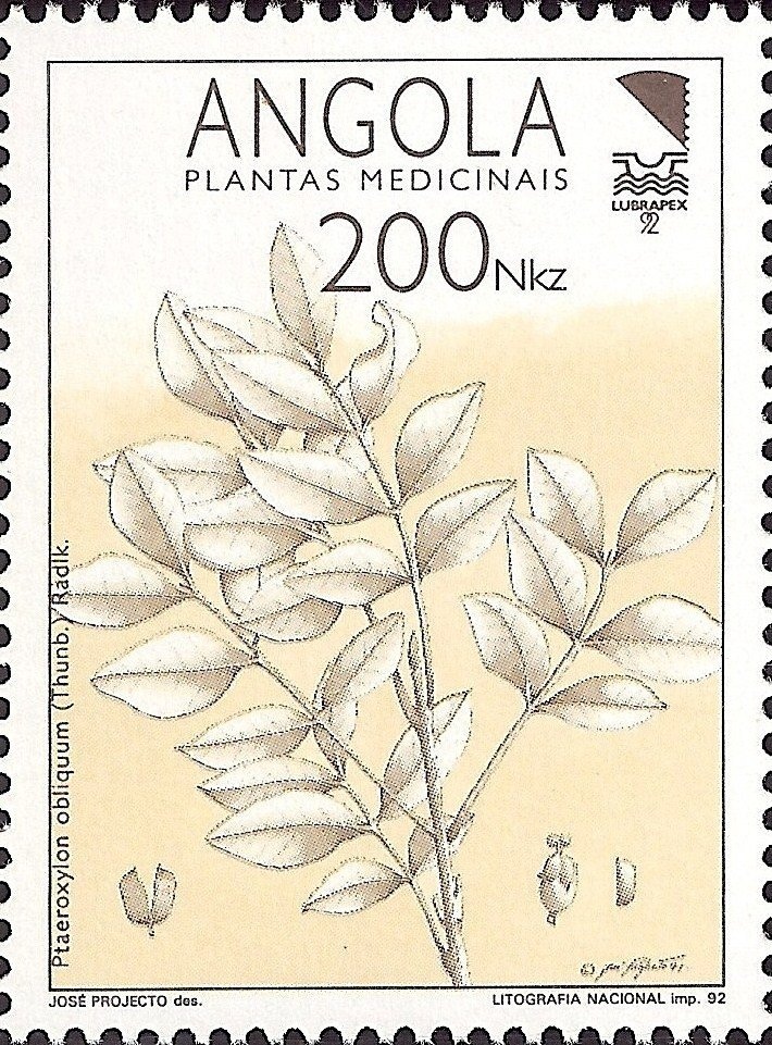 Blusher Mushroom (Amanita rubescens)