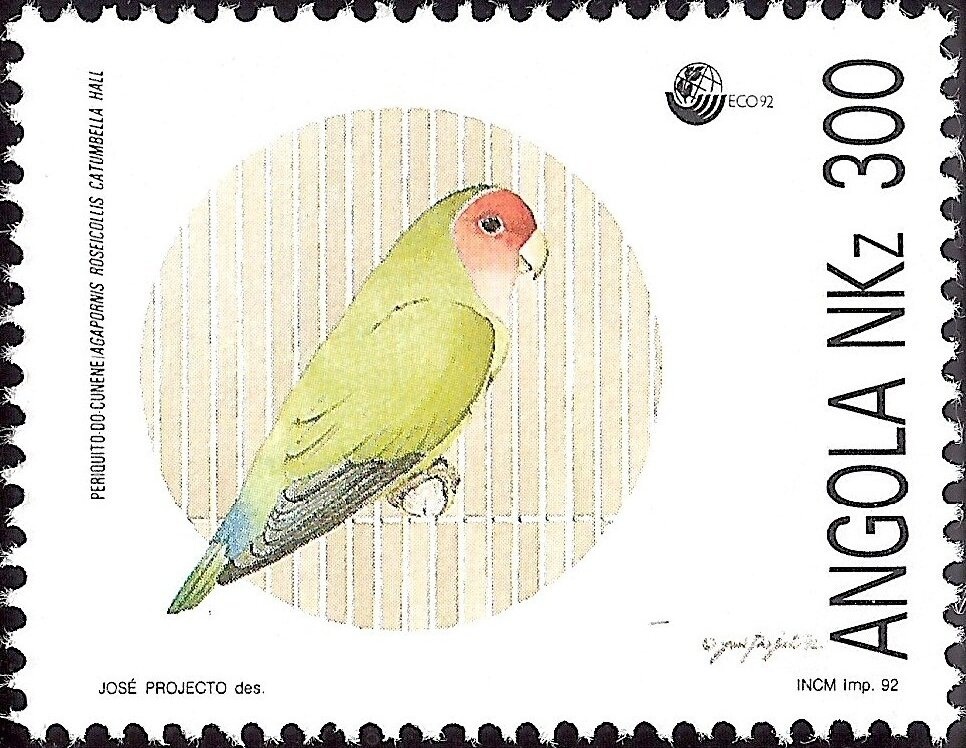 Southern Right Whale (Eubalaena australis)