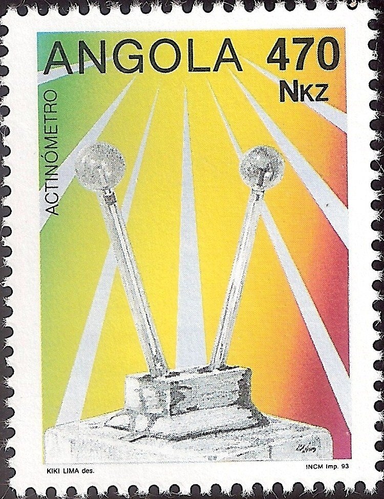 Cape hare (Lepus capensis)