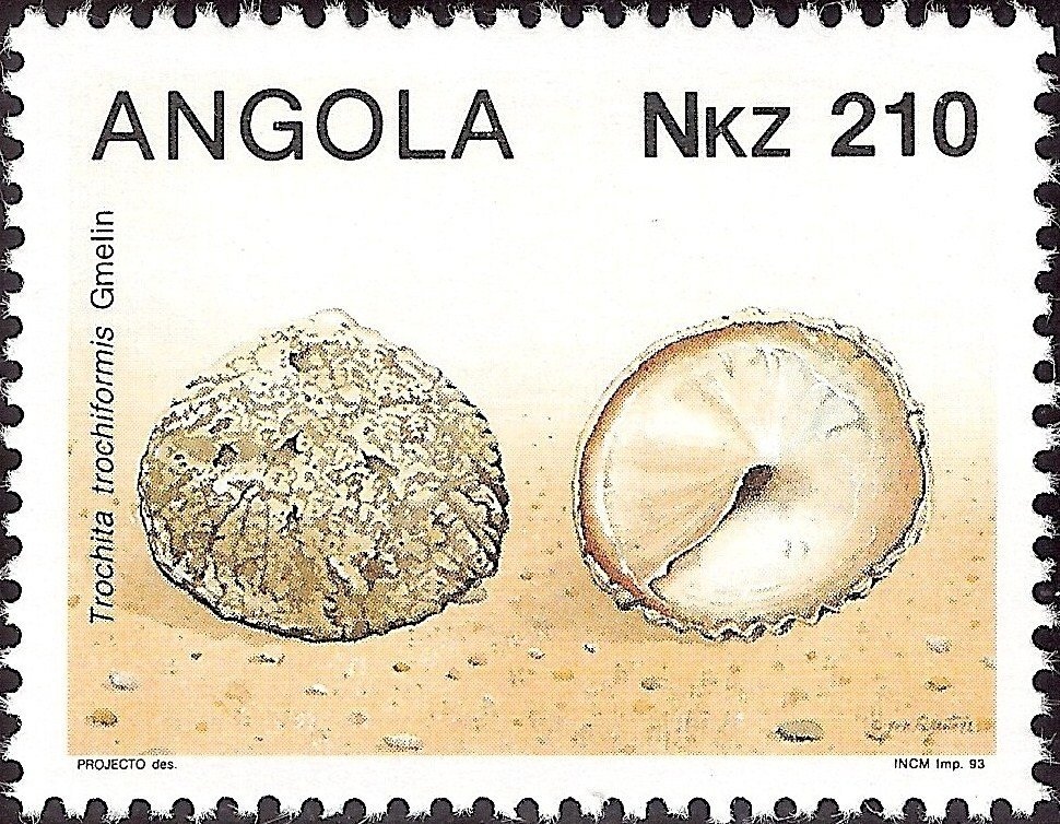 Kung People of Angola