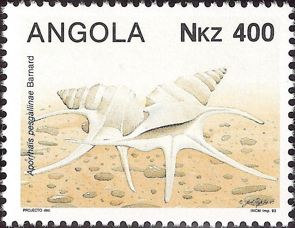 Hyacinth Macaw (Anodorhynchus hyacinthinus)