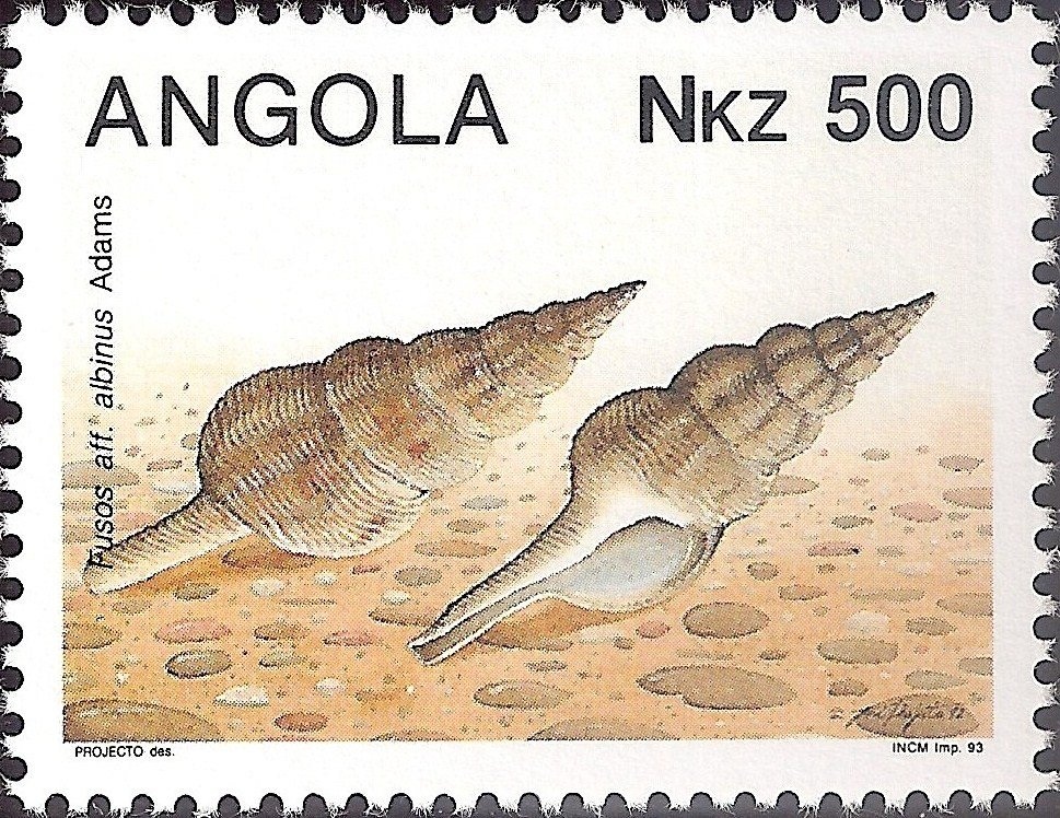 Angel from Sant Joan de Caselles' church