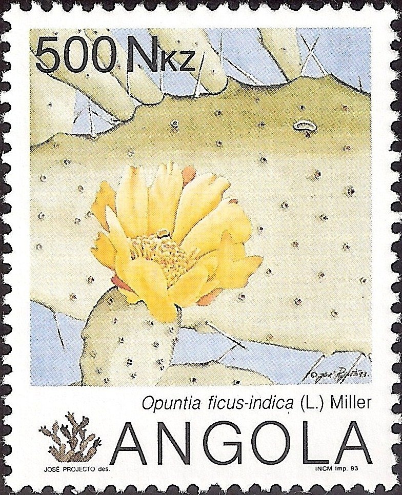 Rural and Popular Rail