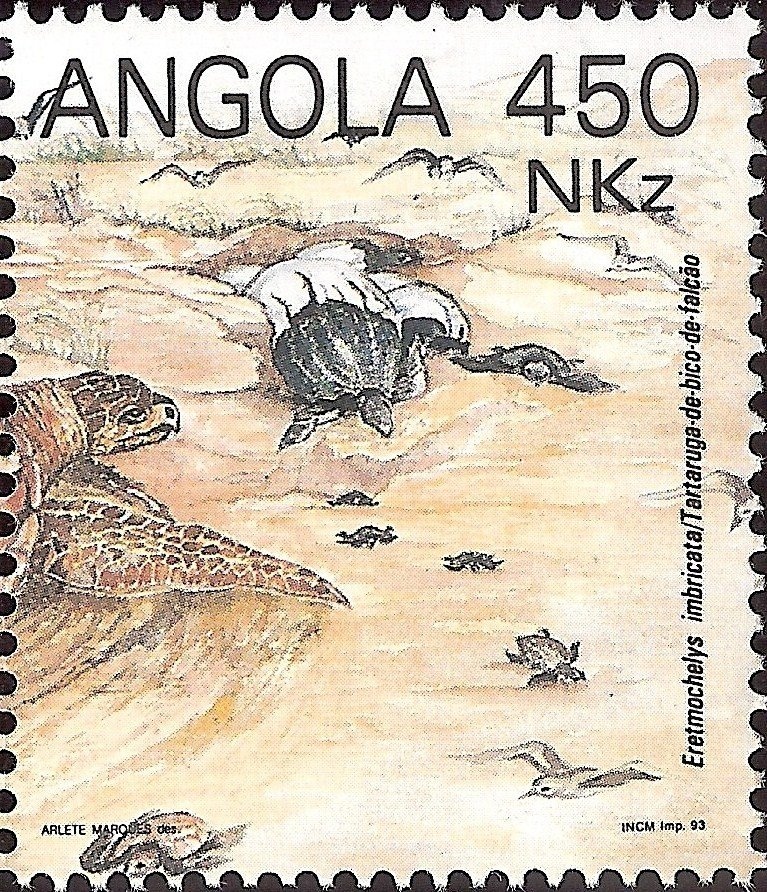 Blackberry (Rubus fruticosus)