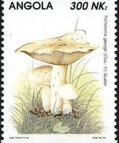 King Carlos I of Portugal (1863-1908)