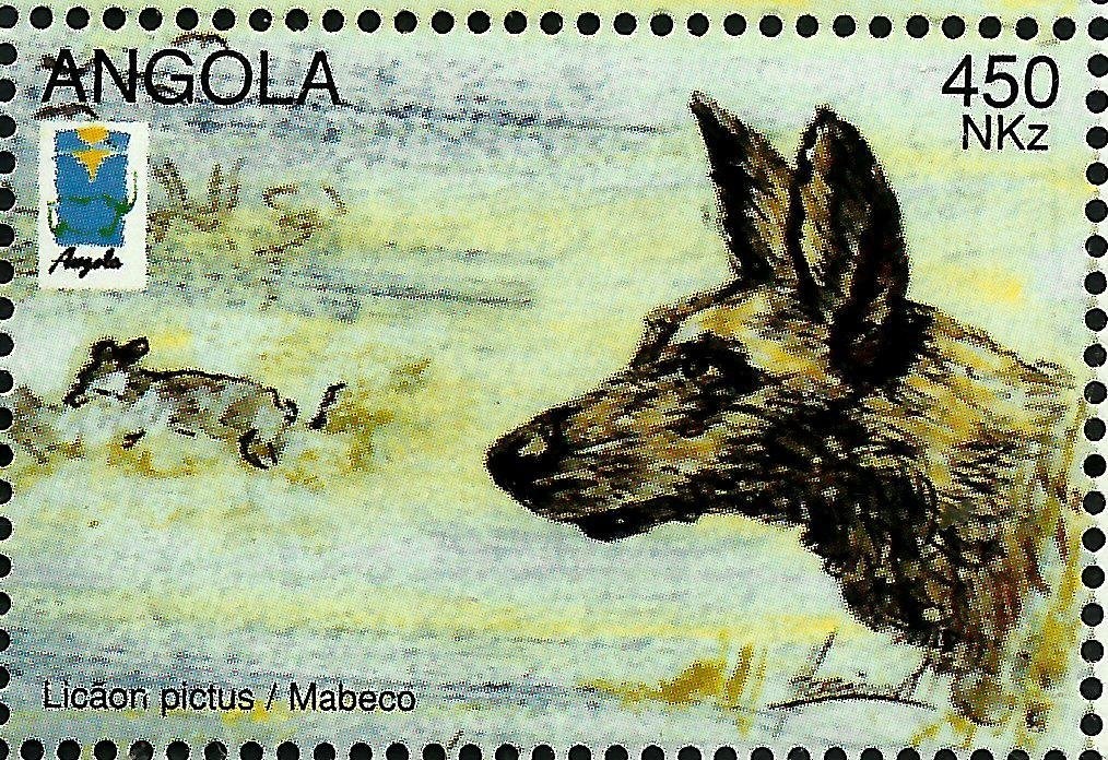 Slender-snouted Crocodile (Mecistops cataphractus)