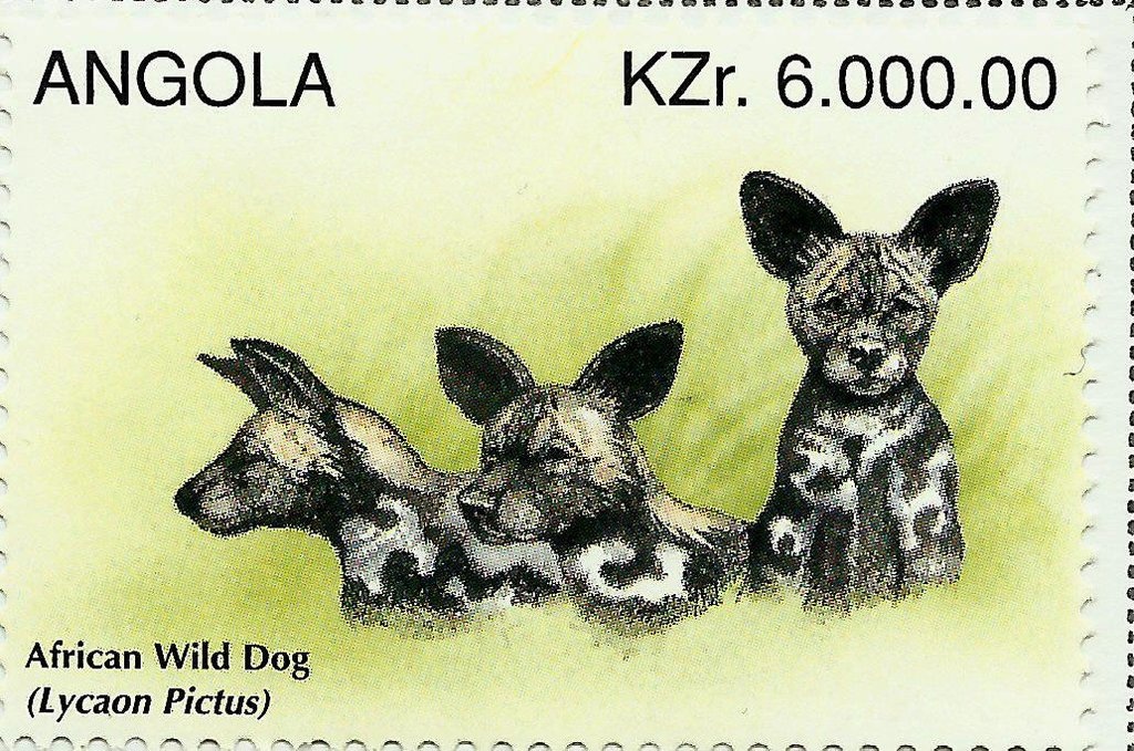 Barrage - Overprint in Black