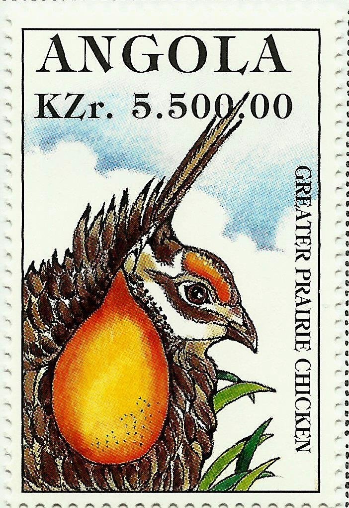 Ground Pangolin (Smutsia temminckii)