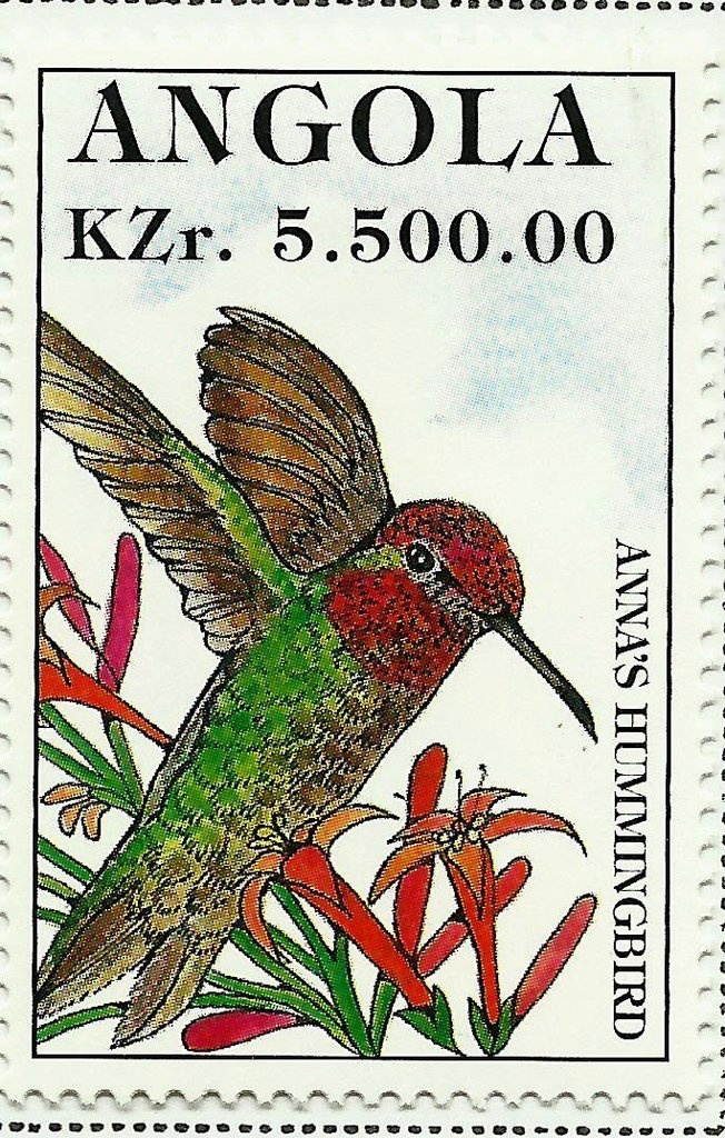 International Year of Literacy