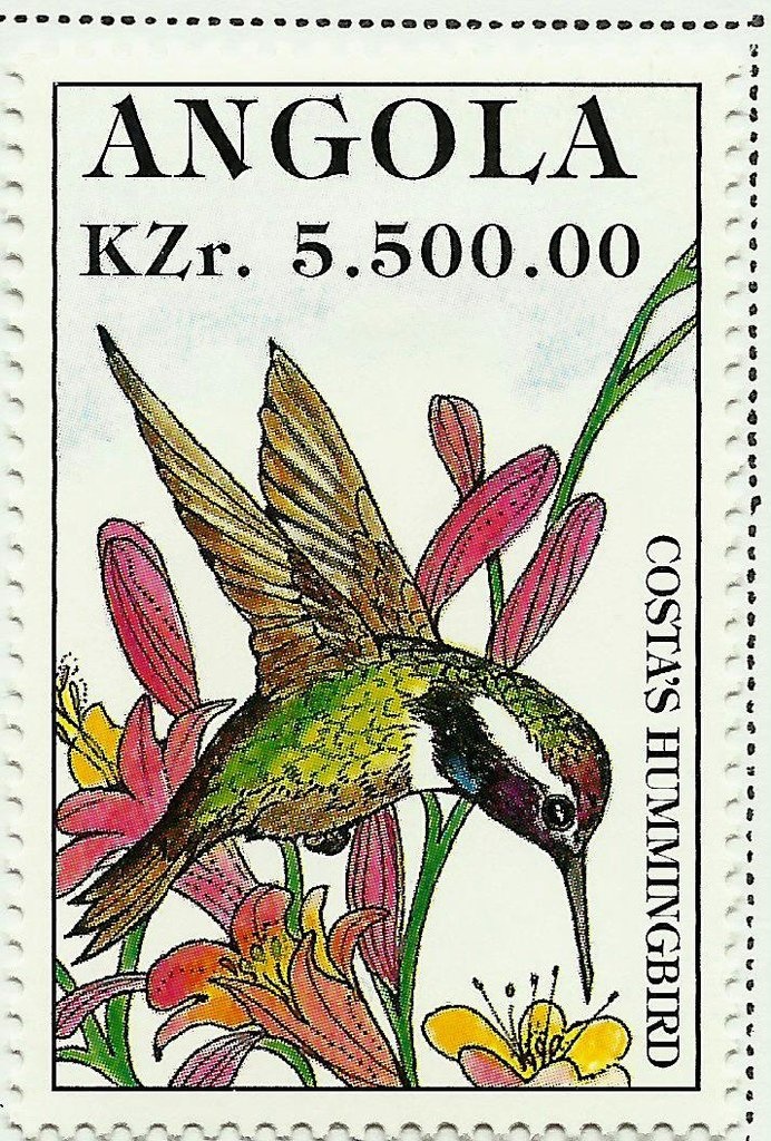 30th São Silvestre Race Luanda