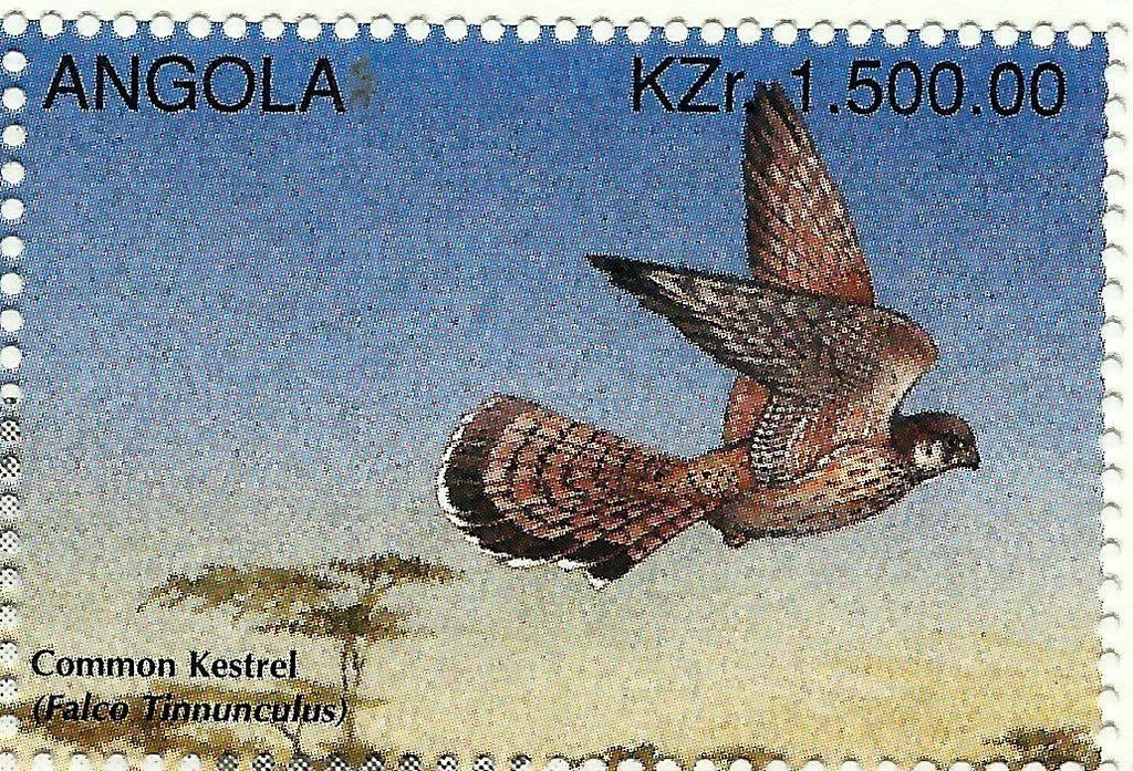 Nautical Instruments - Iberex 91