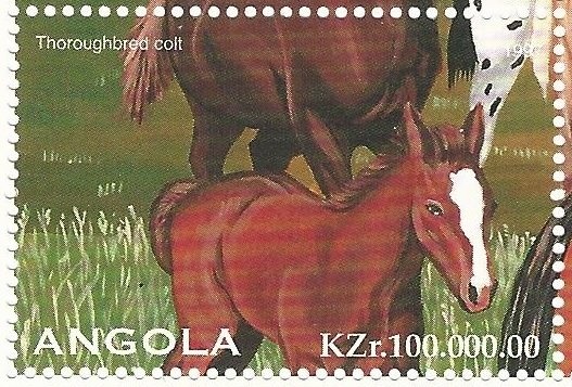 Giant Sable Antelope, (Hippotragus niger variani)