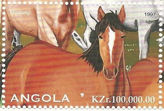 International Year of Literacy