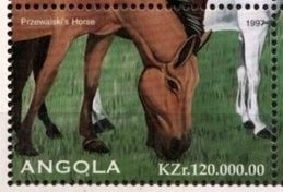 International Day of Africa