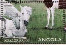 Fortress of Massangano