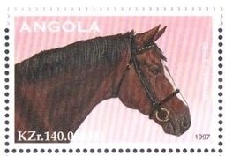 Euphorbia tirculli L.