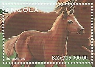 Marbled swimcrab (Callinectes marginatus)