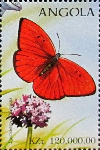 27th Anniversary of SADC